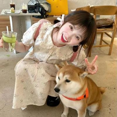 年少轻狂第四季